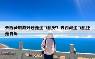 去西藏旅游好还是坐飞机好？去西藏坐飞机还是自驾