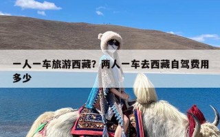 一人一车旅游西藏？两人一车去西藏自驾费用多少