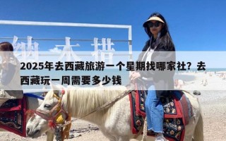 2025年去西藏旅游一个星期找哪家社？去西藏玩一周需要多少钱