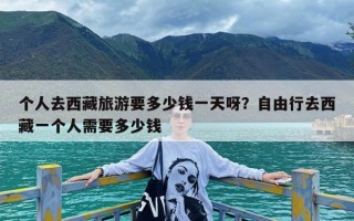 个人去西藏旅游要多少钱一天呀？自由行去西藏一个人需要多少钱