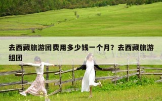 去西藏旅游团费用多少钱一个月？去西藏旅游组团