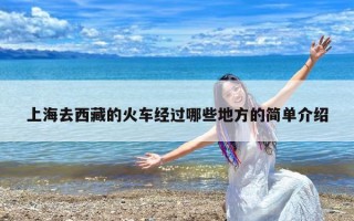 上海去西藏的火车经过哪些地方的简单介绍