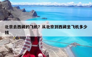 北京去西藏的飞机？从北京到西藏坐飞机多少钱