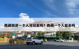 西藏旅游一个人可以去吗？西藏一个人能去吗