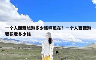 一个人西藏旅游多少钱啊现在？一个人西藏游要花费多少钱