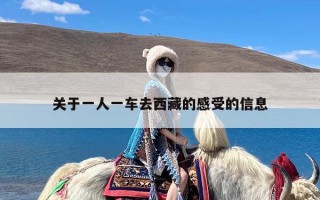 关于一人一车去西藏的感受的信息
