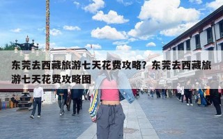 东莞去西藏旅游七天花费攻略？东莞去西藏旅游七天花费攻略图