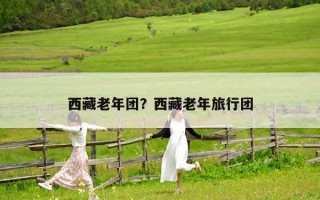 西藏老年团？西藏老年旅行团