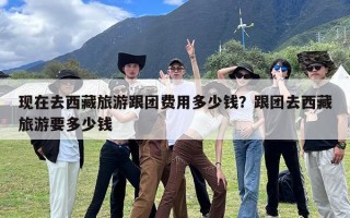 现在去西藏旅游跟团费用多少钱？跟团去西藏旅游要多少钱