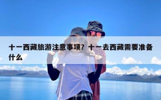 十一西藏旅游注意事项？十一去西藏需要准备什么