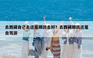 去西藏自己去还是跟团去好？去西藏跟团还是自驾游