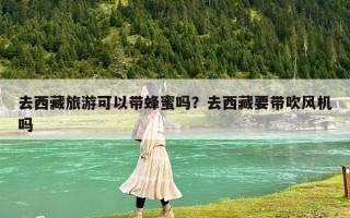 去西藏旅游可以带蜂蜜吗？去西藏要带吹风机吗