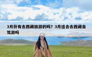 3月份有去西藏旅游的吗？3月适合去西藏自驾游吗