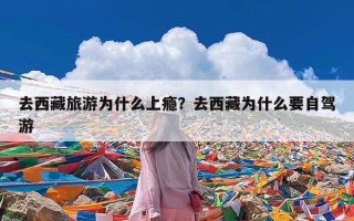 去西藏旅游为什么上瘾？去西藏为什么要自驾游