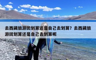 去西藏旅游团划算还是自己去划算？去西藏旅游团划算还是自己去划算呢