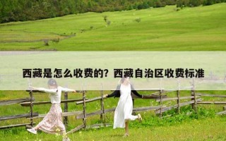 西藏是怎么收费的？西藏自治区收费标准
