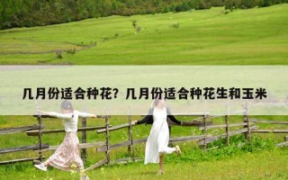 几月份适合种花？几月份适合种花生和玉米