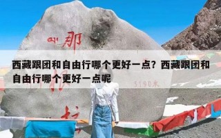 西藏跟团和自由行哪个更好一点？西藏跟团和自由行哪个更好一点呢
