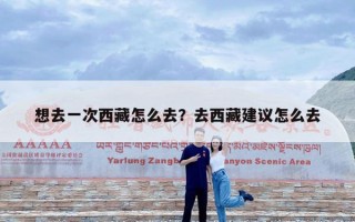 想去一次西藏怎么去？去西藏建议怎么去