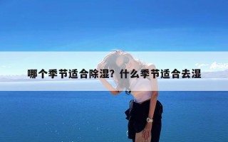 哪个季节适合除湿？什么季节适合去湿