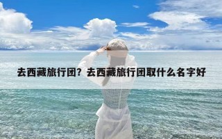 去西藏旅行团？去西藏旅行团取什么名字好