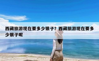 西藏旅游现在要多少银子？西藏旅游现在要多少银子呢