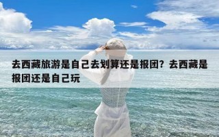 去西藏旅游是自己去划算还是报团？去西藏是报团还是自己玩