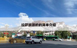 拉萨旅游的的简单介绍
