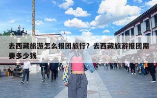 去西藏旅游怎么报团旅行？去西藏旅游报团需要多少钱