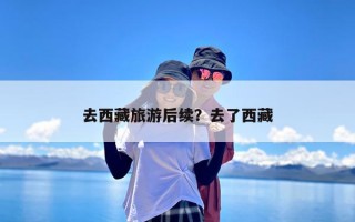去西藏旅游后续？去了西藏