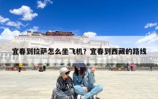 宜春到拉萨怎么坐飞机？宜春到西藏的路线