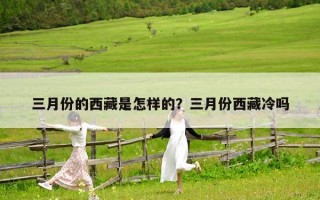 三月份的西藏是怎样的？三月份西藏冷吗