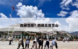 西藏雪原？西藏高原雪山