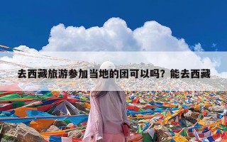 去西藏旅游参加当地的团可以吗？能去西藏