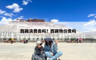 西藏消费贵吗？西藏物价贵吗