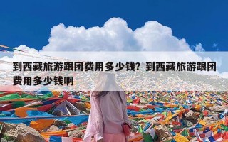 到西藏旅游跟团费用多少钱？到西藏旅游跟团费用多少钱啊