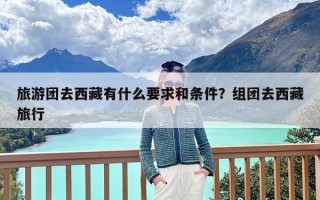 旅游团去西藏有什么要求和条件？组团去西藏旅行