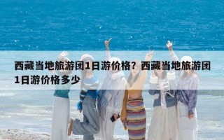 西藏当地旅游团1日游价格？西藏当地旅游团1日游价格多少