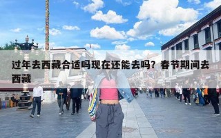 过年去西藏合适吗现在还能去吗？春节期间去西藏