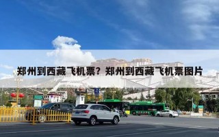 郑州到西藏飞机票？郑州到西藏飞机票图片