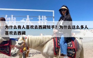 为什么有人喜欢去西藏知乎？为什么这么多人喜欢去西藏