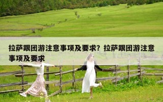 拉萨跟团游注意事项及要求？拉萨跟团游注意事项及要求