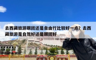 去西藏旅游跟团还是自由行比较好一点？去西藏旅游是自驾好还是跟团好