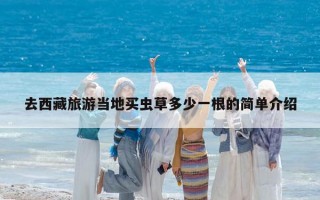 去西藏旅游当地买虫草多少一根的简单介绍