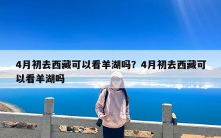 4月初去西藏可以看羊湖吗？4月初去西藏可以看羊湖吗