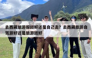 去西藏旅游报团好还是自己去？去西藏旅游自驾游好还是旅游团好