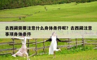 去西藏需要注意什么身体条件呢？去西藏注意事项身体条件