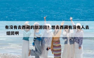 有没有去西藏的旅游团？想去西藏有没有人去 组团啊