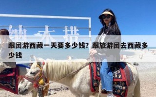 跟团游西藏一天要多少钱？跟旅游团去西藏多少钱