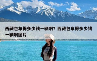 西藏包车得多少钱一辆啊？西藏包车得多少钱一辆啊图片